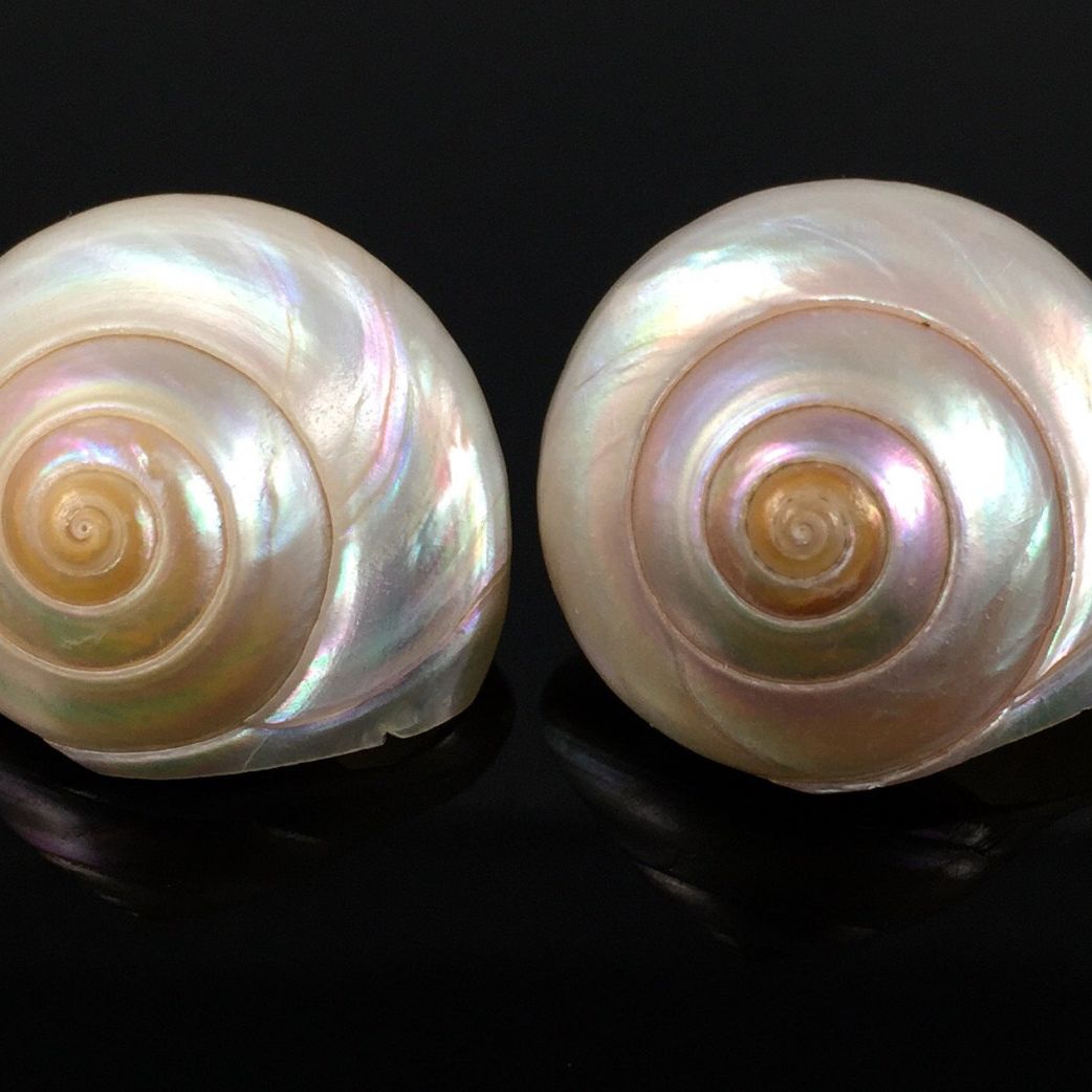 Pearl shell earrings iridescent crystal boutique salon main image 1